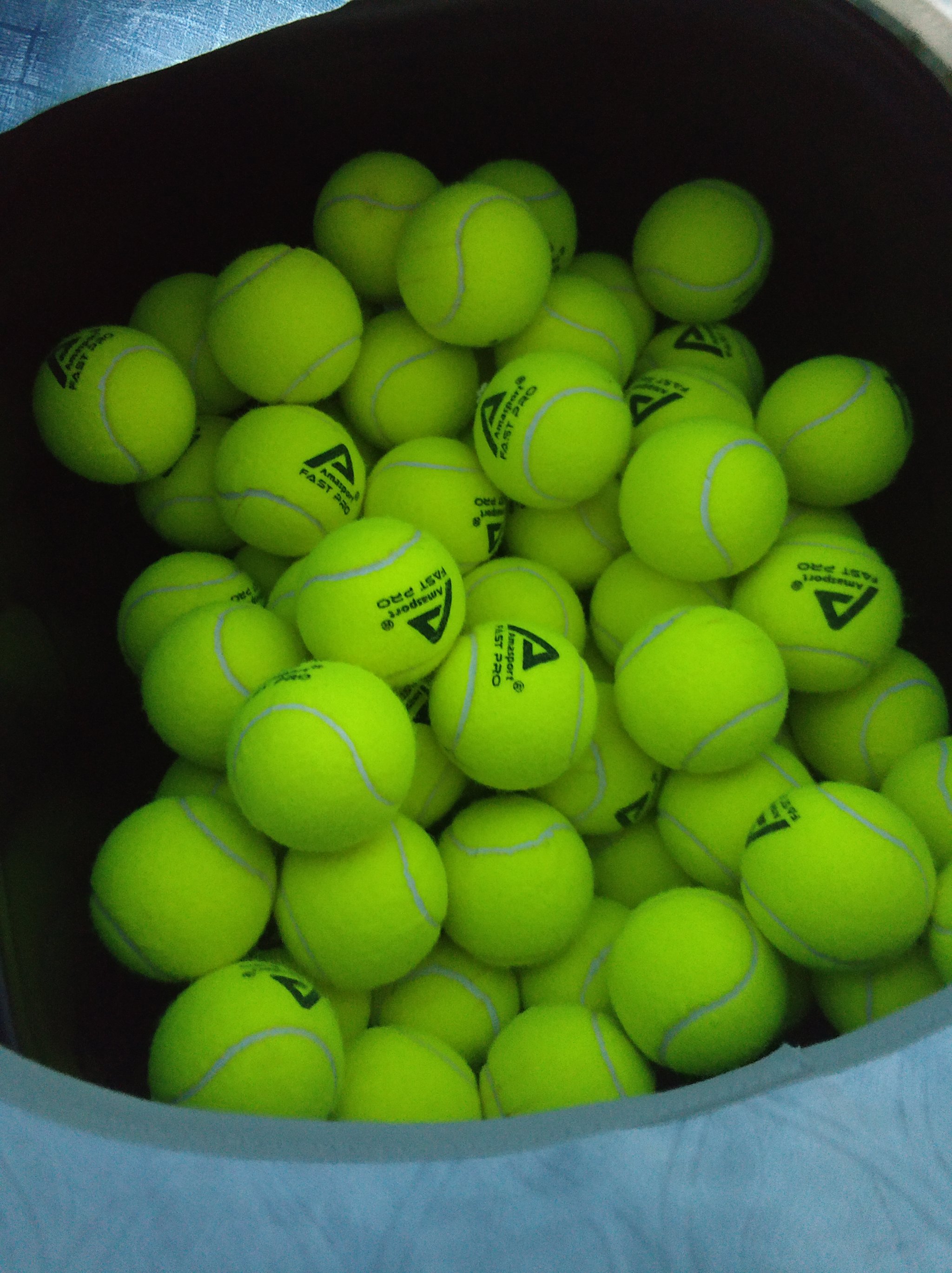 辽宁男篮在 辽宁男篮在