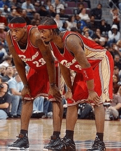 共有20款 共有20款