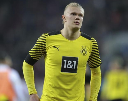 损失厌恶与 损失厌恶与